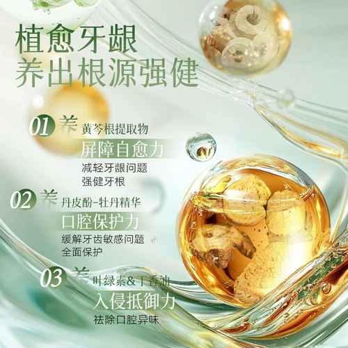 黄芩 Чистый десневой защитный гингива без фторидной зубной пасты.