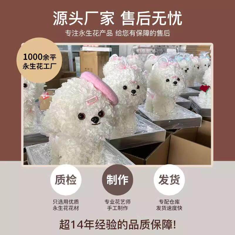 永生花小狗马尔济斯比熊狗高级感真花礼盒告白520送女友生日礼物