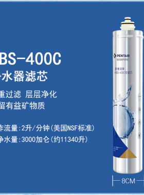 爱惠浦净水器滤芯H100H104PR04
