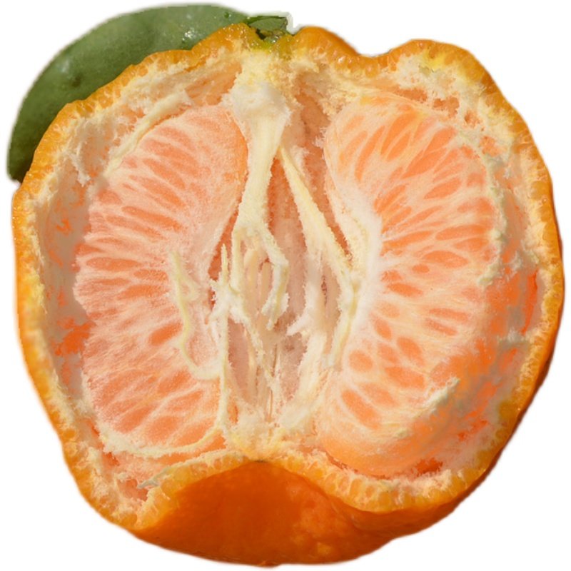 现摘四川春见耙耙柑新鲜水果5斤包邮金堂三溪脐橙柑橘橙子可采摘,淘宝优惠券,粉丝福利购,淘宝优惠卷