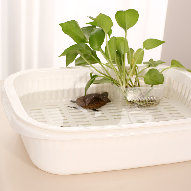 乌龟缸双层底滤龟便分离生态绿植造景缸家用塑料桌面鱼龟饲养盆子,淘宝优惠券,粉丝福利购,淘宝优惠卷