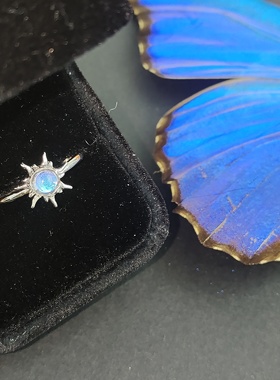 大蓝闪蝶真蝴蝶标本镀银戒指太阳图案精致ins设计生日礼物送女友