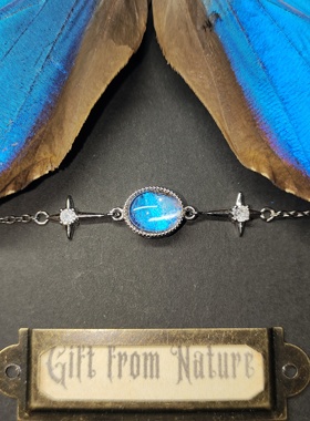 大蓝闪蝶真蝴蝶标本镀银手链圆形戒面精致ins设计生日礼物送女友