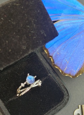 大蓝闪蝶真蝴蝶标本镀银戒指大气精致ins设计生日礼物送女友