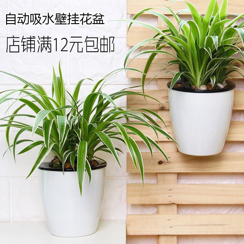 懒人花盆自动吸水花盆  壁挂花盆  植物墙花盆 吊兰绿萝花盆 吊盆,淘宝优惠券,粉丝福利购,淘宝优惠卷