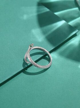 2025年新款小众设计灵蛇戒指女时尚个性气质百搭高级感开口食指戒