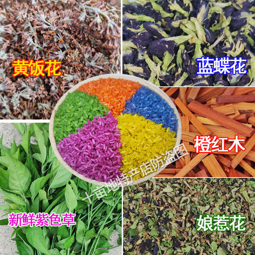 紫米草紫蓝草广西三月三五色糯米饭植物染料天然红色黄染饭红蓝草 - 图2