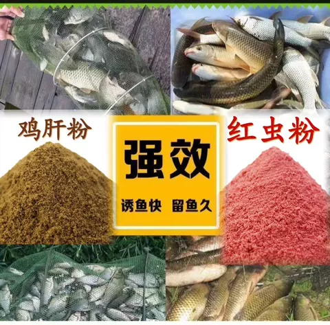 鸡肝粉钓鱼罗非鱼秋刀鱼鲮鱼鲶鱼福寿罗综合垂钓野钓钓鱼饵添加剂 图片 4