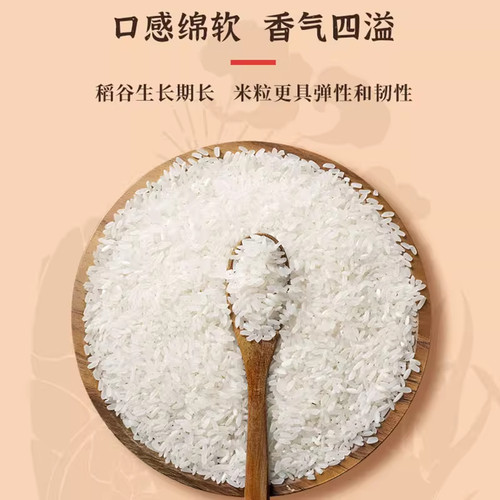 永泽官方新米长粒香米东北黑土地大米GB/T1354长粒米5KG真空包装 - 图0