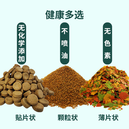 海豚牌热带鱼粮小型热带鱼神仙孔雀鱼饲料红绿灯七彩鱼微颗粒鱼食 - 图1