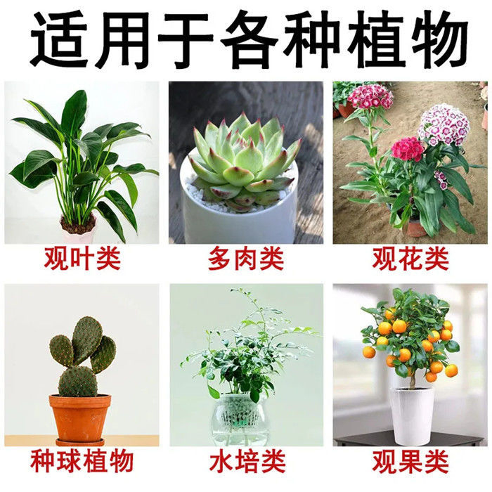 免稀释植物营养液通用型室内盆栽绿植花卉叶面肥喷施花草发财树 - 图0