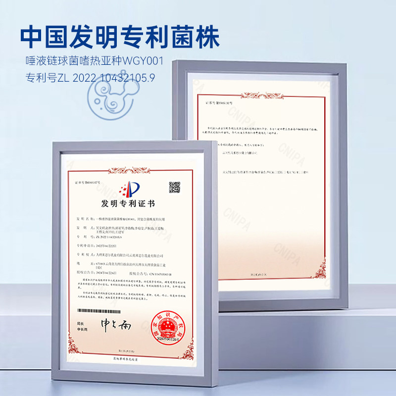 来思尔大理小酸奶整箱批特价180g*12瓶原味学生儿童乳酸菌早餐奶