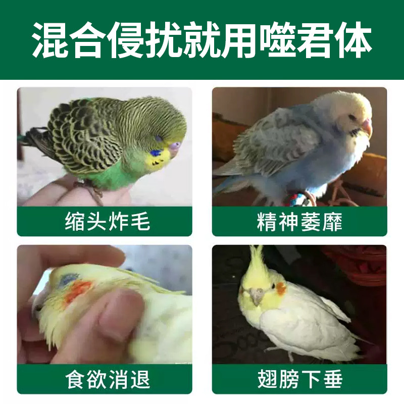 鹦鹉鸟用噬菌体水绿便炸毛肠道拉水粪便不成型赢宠噬菌液保障水质