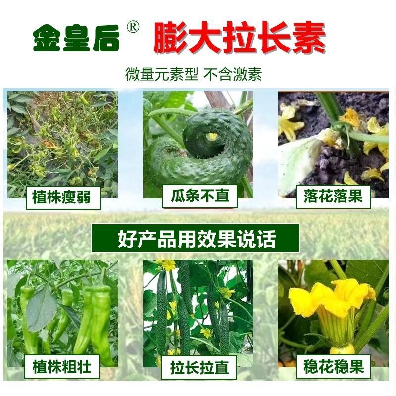 黄瓜丝瓜辣椒拉长拉直膨大素豆角苦瓜西葫芦茄子伸长拉长素叶面肥-图1