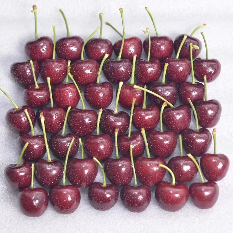 山东烟台大樱桃国产车厘子新鲜水果脆甜美早孕妇儿童现摘布鲁克斯,淘宝优惠券,粉丝福利购,淘宝优惠卷