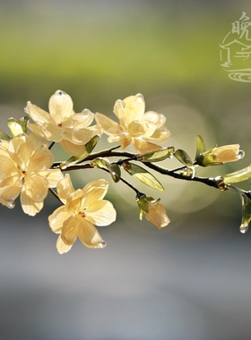 迎春花热缩发钗步摇竹子古风日常