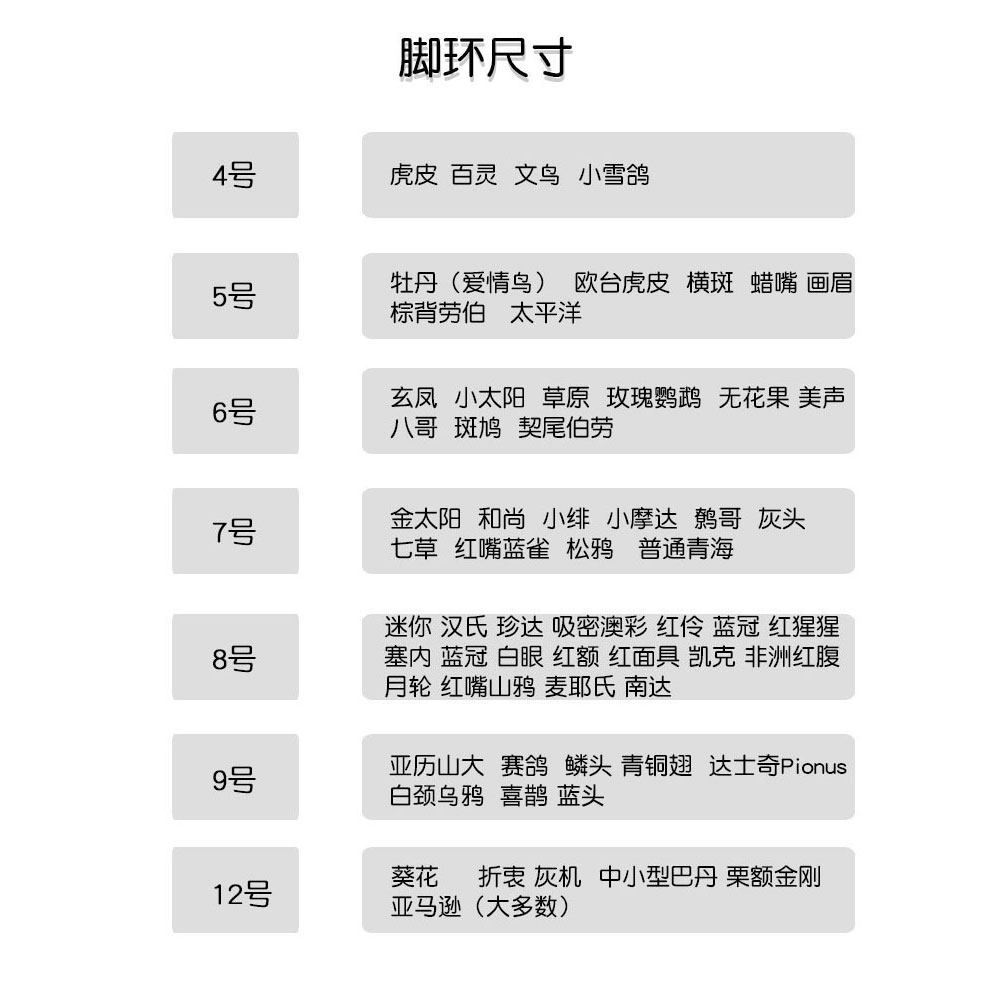不锈钢鹦鹉放飞绳脚链不伤脚脚环活扣超轻虎皮牡丹玄凤专用防脱扣,淘宝优惠券,粉丝福利购,淘宝优惠卷
