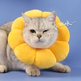 Кошка Элизабет мягкий воротник кошачий кошка стыд круговой круг солнца цветочниц вокруг шеи, чтобы предотвратить облизывание котят.