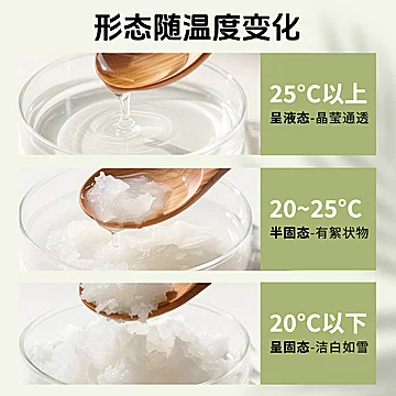 【椰语堂】海南冷榨椰子油500ml*1瓶[33元优惠券]-寻折猪