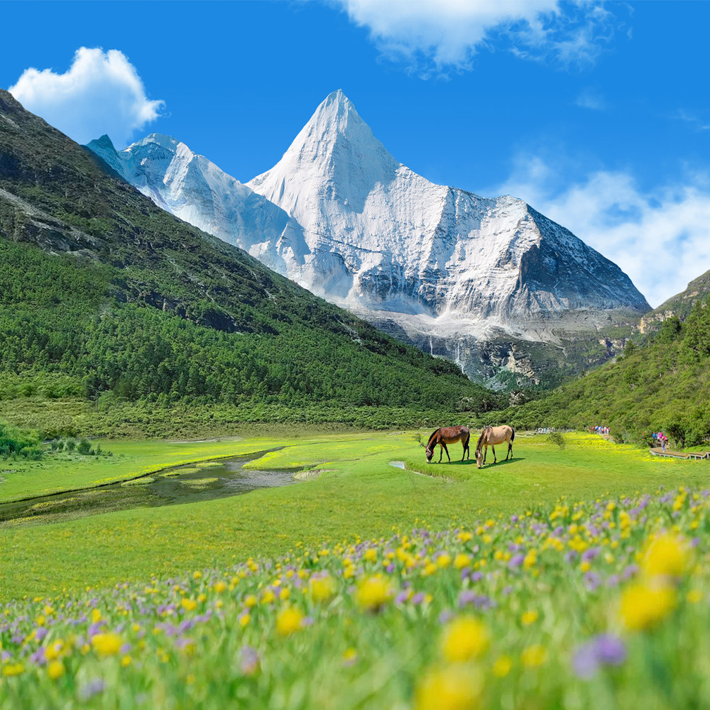 �ɶ����������Ƕ�5��4���������߸����� �������Ĺ���ɽС�� 12�� 3���ؼۺ���Ʊ ���˷��� 215Ԫ