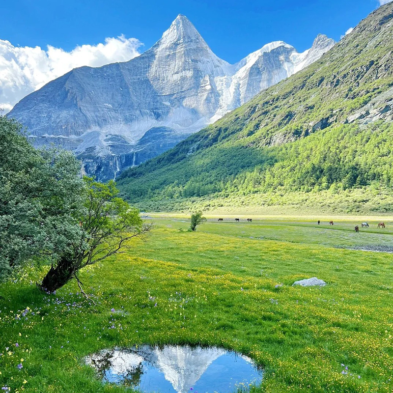 【主播推荐】成都到稻城亚丁旅游6天5晚四姑娘山雅拉雪山8人团 - 图1