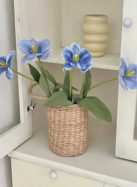 布朗尼郁金香仿真花家居摆件