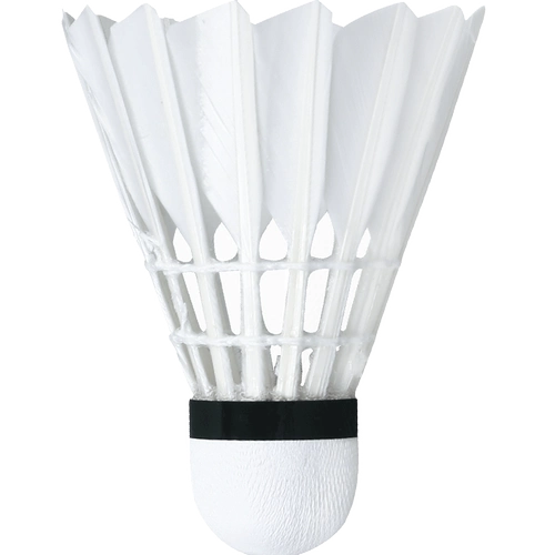 Обязательно подлинный бадминтон, борьба с борьбой с Корком 12 Установленные гусиные тренировки на открытом воздухе не могут быть гнилой