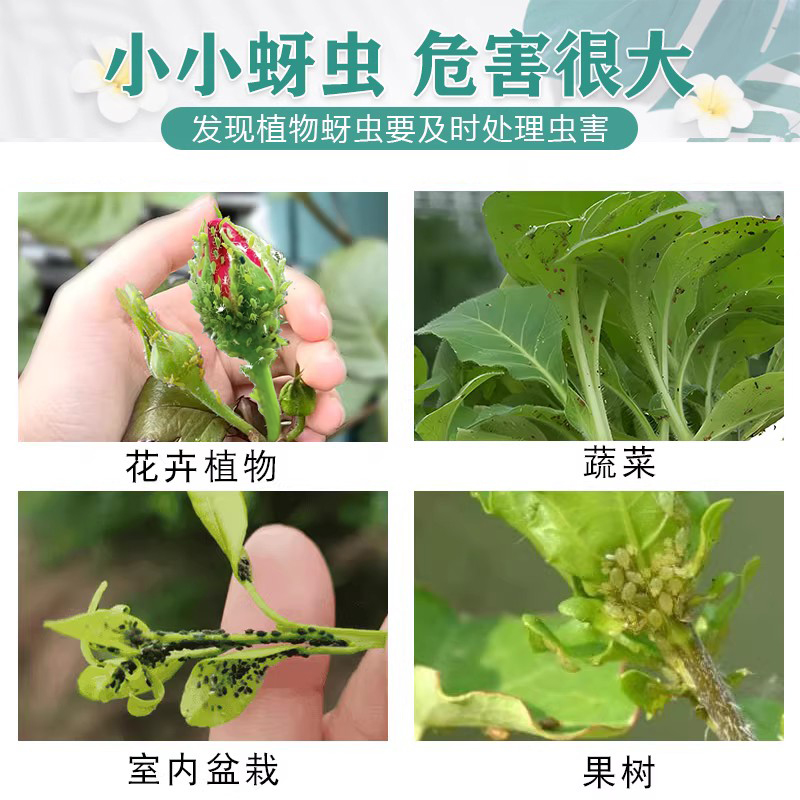 蚜虫专用药月季玫瑰花卉植物蔬菜腻虫家用花杀虫剂吡虫啉喷雾花药 - 图0