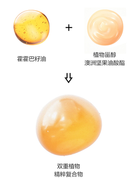 PERFECTDIARY四色精萃眼影