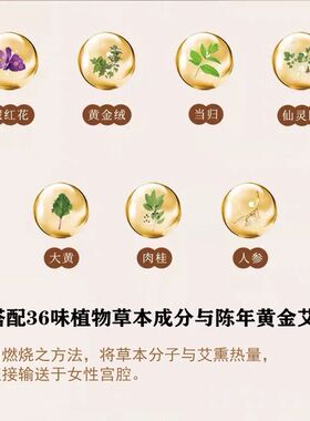 私密艾灸美容院专用阴道暖宫导管