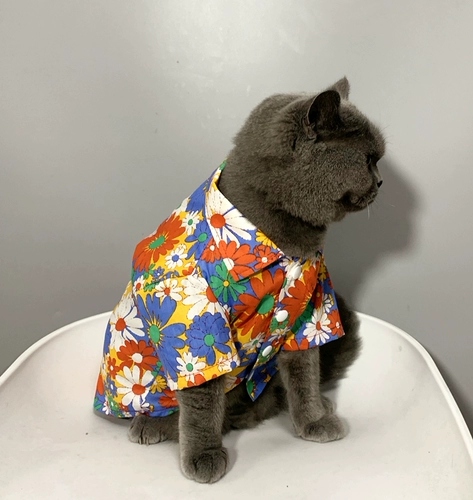 Pet Cat Barbarian маленькая щенка одежда для кошачья одежда лето тонкая анти -фар -рубашка солнце