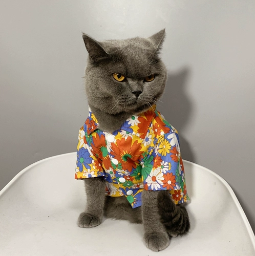 Pet Cat Barbarian маленькая щенка одежда для кошачья одежда лето тонкая анти -фар -рубашка солнце