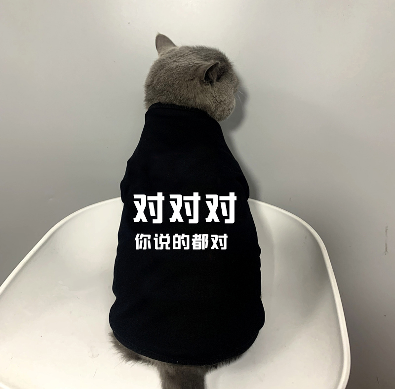 宠物猫咪比熊卫衣小狗衣服猫咪衣服春夏薄款T恤防掉毛你说的都对