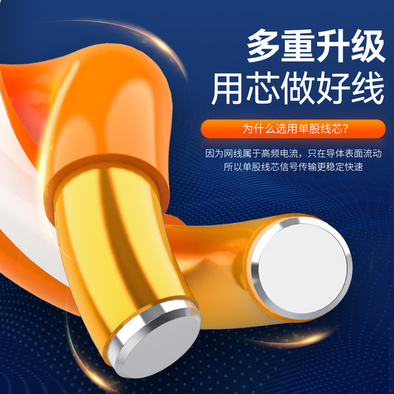 Category 6A 6G Gigabit indoor and outdoor network cable