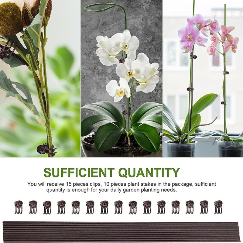 蝴蝶兰支架支撑杆造型架子园艺花卉花枝夹子蔓藤爬藤植物固定夹子,淘宝优惠券,粉丝福利购,淘宝优惠卷