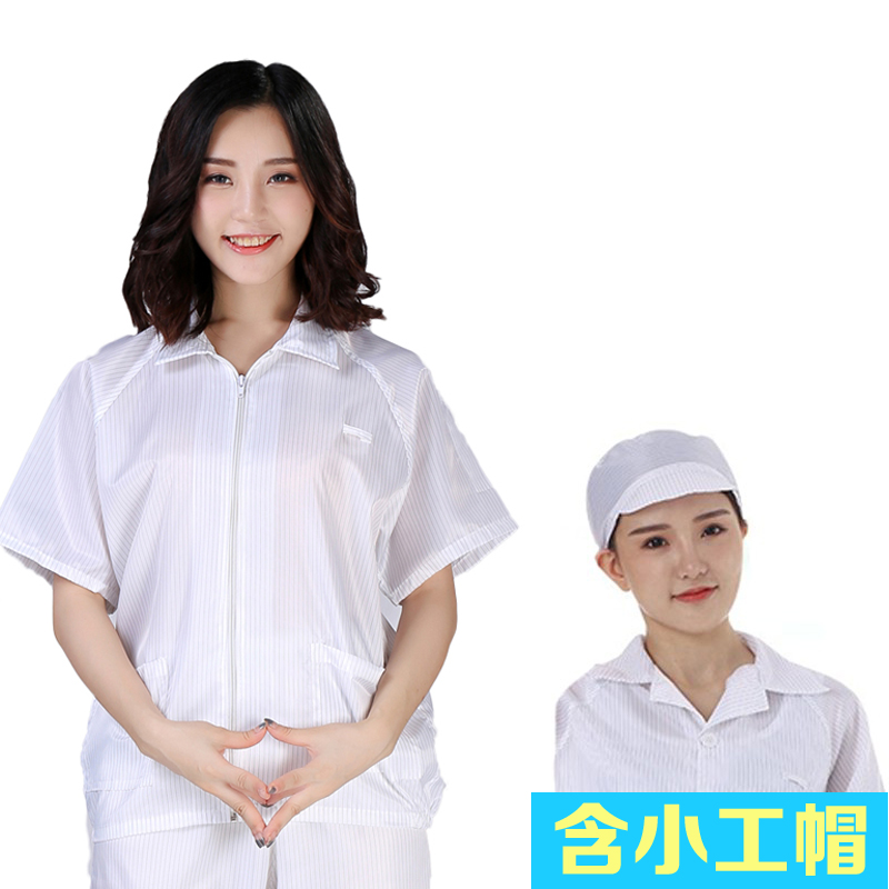 无尘服上衣短袖静电衣服拉链短款大褂纽扣夏季薄款男女蓝白工作服 - 图1