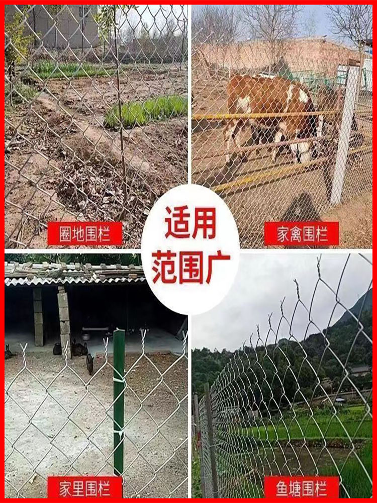 镀锌菱形勾花网围栏养鸡猪狗果园隔离护栏网圈牛羊防护养殖钢丝网