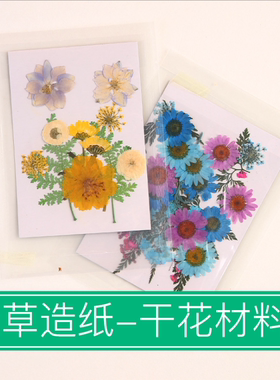 干花diy材料包永生花压花片押花草手工滴胶书签真花植物树叶标本