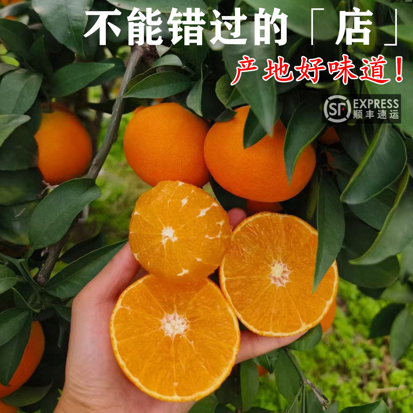 特级大果四川爱媛38果冻橙特产10斤新鲜水果橙子红美人柑橘爱媛橙,淘宝优惠券,粉丝福利购,淘宝优惠卷