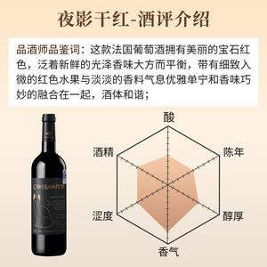 法国卡斯特原装进口夜影chateau干红葡萄酒热红酒双支礼盒装正品