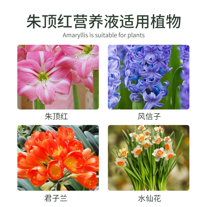 朱顶红肥料专用肥营养液球根植物风信子郁金香仙客来种球通用盆栽,淘宝优惠券,粉丝福利购,淘宝优惠卷