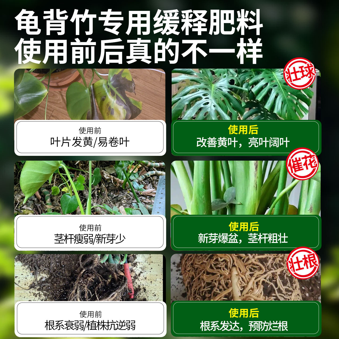 龟背竹专用肥缓释肥料营养液大叶品种客厅大盆栽黄叶促绿叶专用土,淘宝优惠券,粉丝福利购,淘宝优惠卷