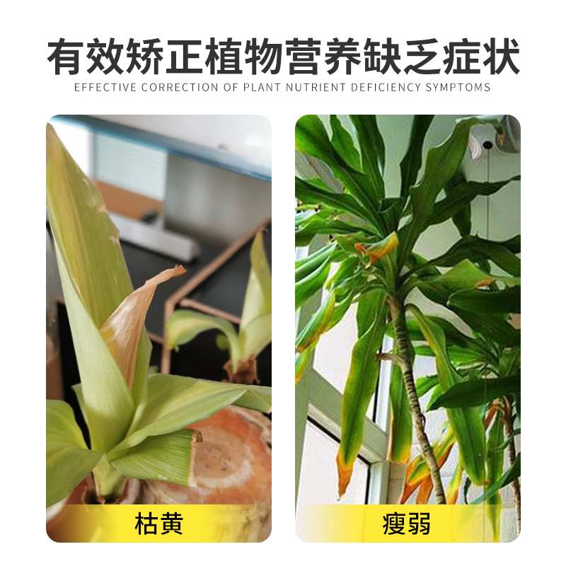 德沃多巴西木专用型缓释肥绿植盆栽通用养花肥料幸运木土培颗粒肥 - 图1