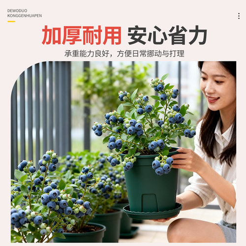 蓝莓专用盆青山盆控根盆加仑盆家用阳台盆栽植物花盆通用透水透气 - 图3