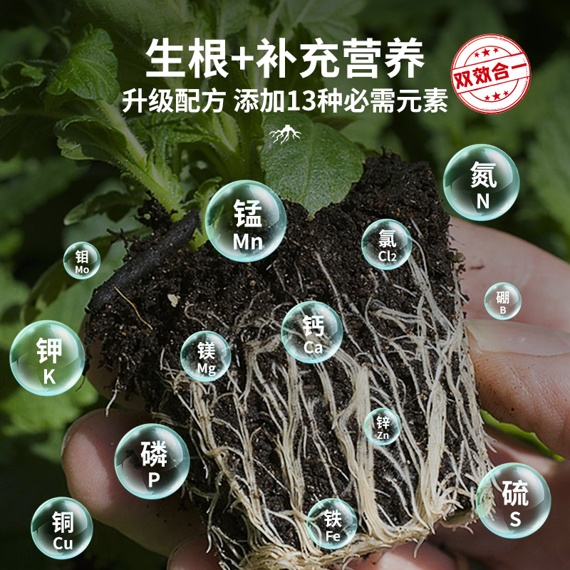 快速生根粉植物通用强力生根剂生根壮苗剂果树花卉扦插生根液药水 - 图2