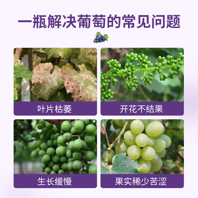 德沃多葡萄树专用肥料果树阳光玫瑰肥料苗盆栽通用型复合缓释花肥-图3