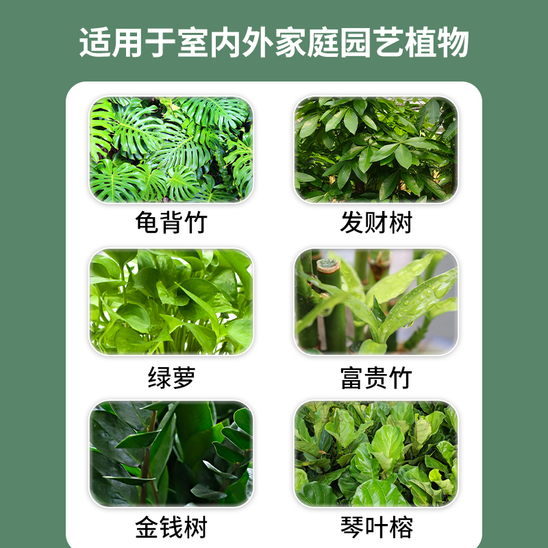 观叶植物免稀释营养液蔬菜花卉黄叶片一喷变绿促生长叶绿素叶面肥-图2