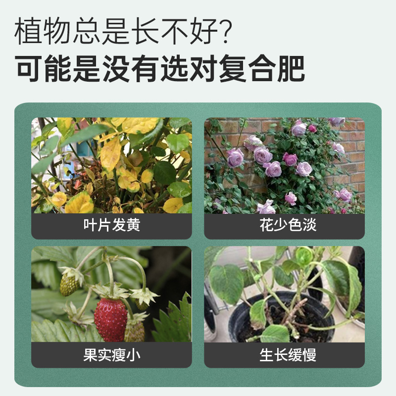 三元复合肥蔬菜农用种菜花肥家用通用型氮磷钾肥养花专用缓释化肥 - 图1