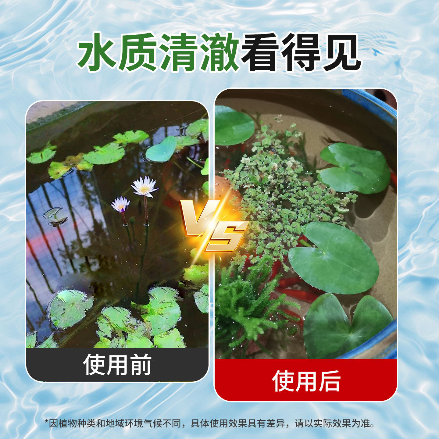 水培植物净水片专用碗莲荷花富贵竹鲜花保鲜鱼缸乌龟除臭杀菌消毒,淘宝优惠券,粉丝福利购,淘宝优惠卷