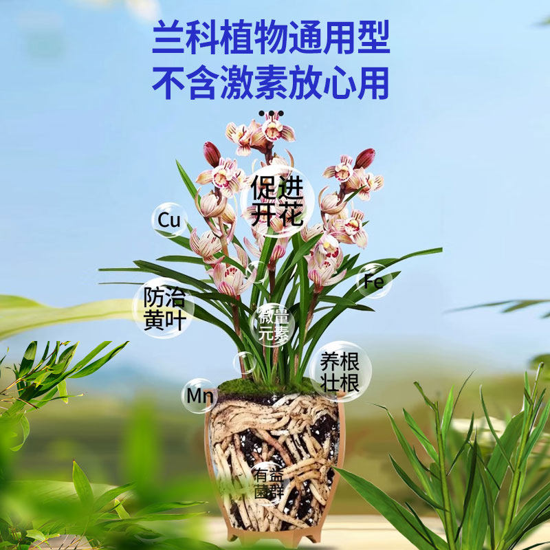 兰灵王兰花专用肥营养液花肥料多箭素蝴蝶兰君子兰花通用微生物菌,淘宝优惠券,粉丝福利购,淘宝优惠卷